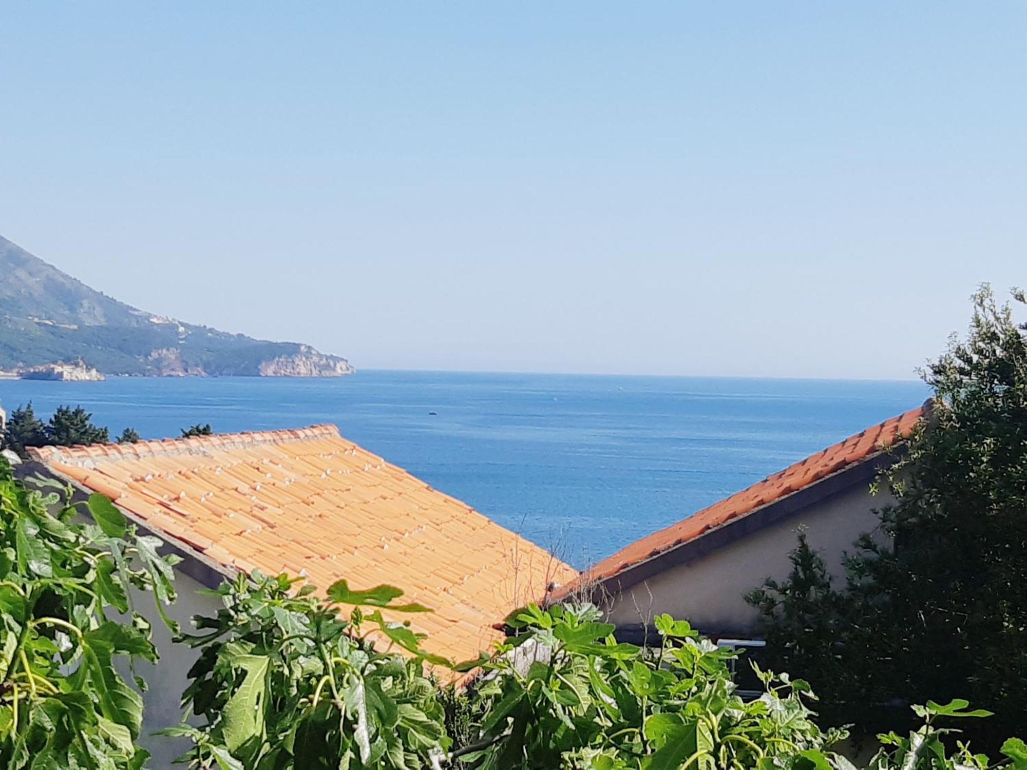 Ivanovic Daire Budva
